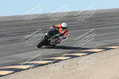 media/Oct-13-2025-Moto Forza (Mon) [[a66d839500]]/4-C Group/Session 2 (Bowl)/